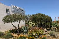 Les Mouettes - Lozari